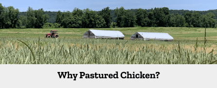 Popular jewish kosher cookbooks